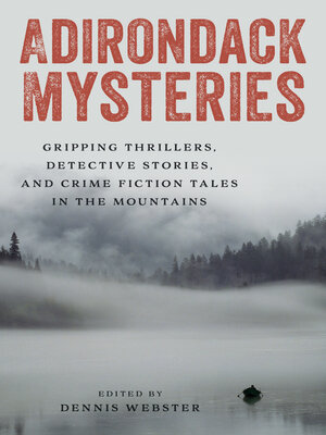 cover image of Adirondack Mysteries